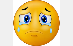 Pas d'AS au palais des sports mercredi 17/12.  ( 2 profs en compétition , 4 profs en séjour ski)