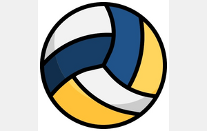 VOLLEY-BALL Garçons DISTRICT